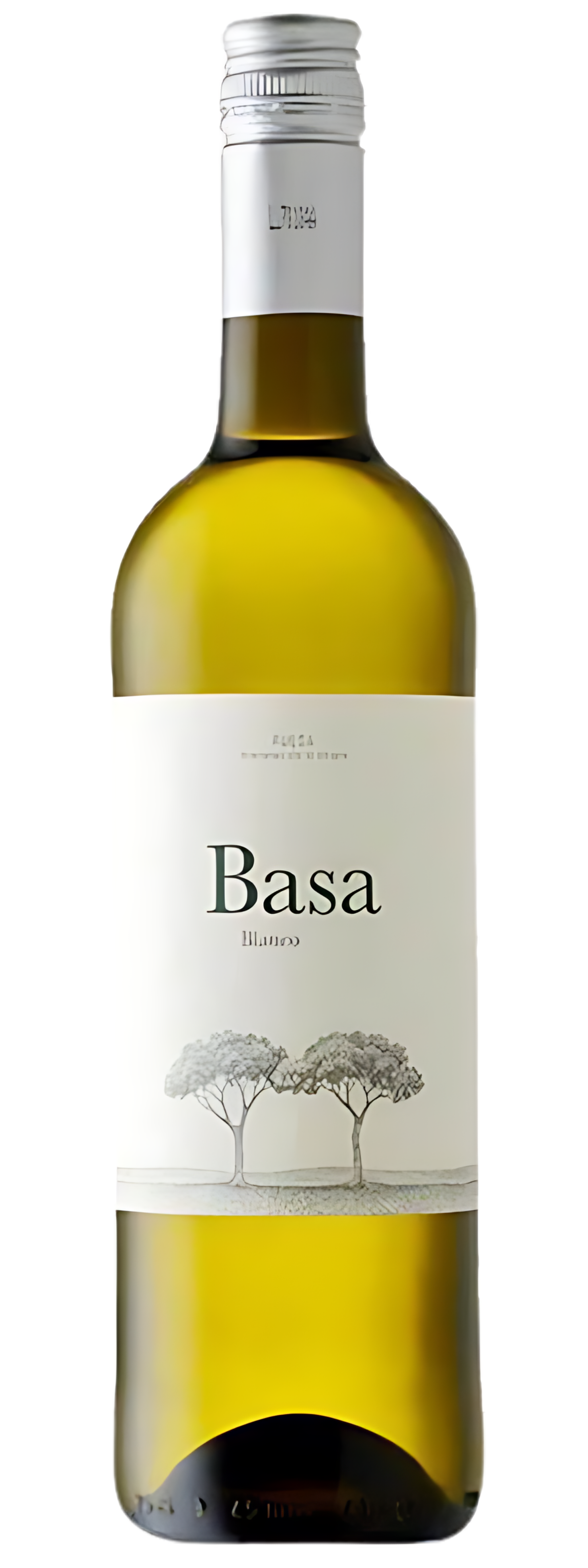 Telmo Rodriguez Basa Verdejo