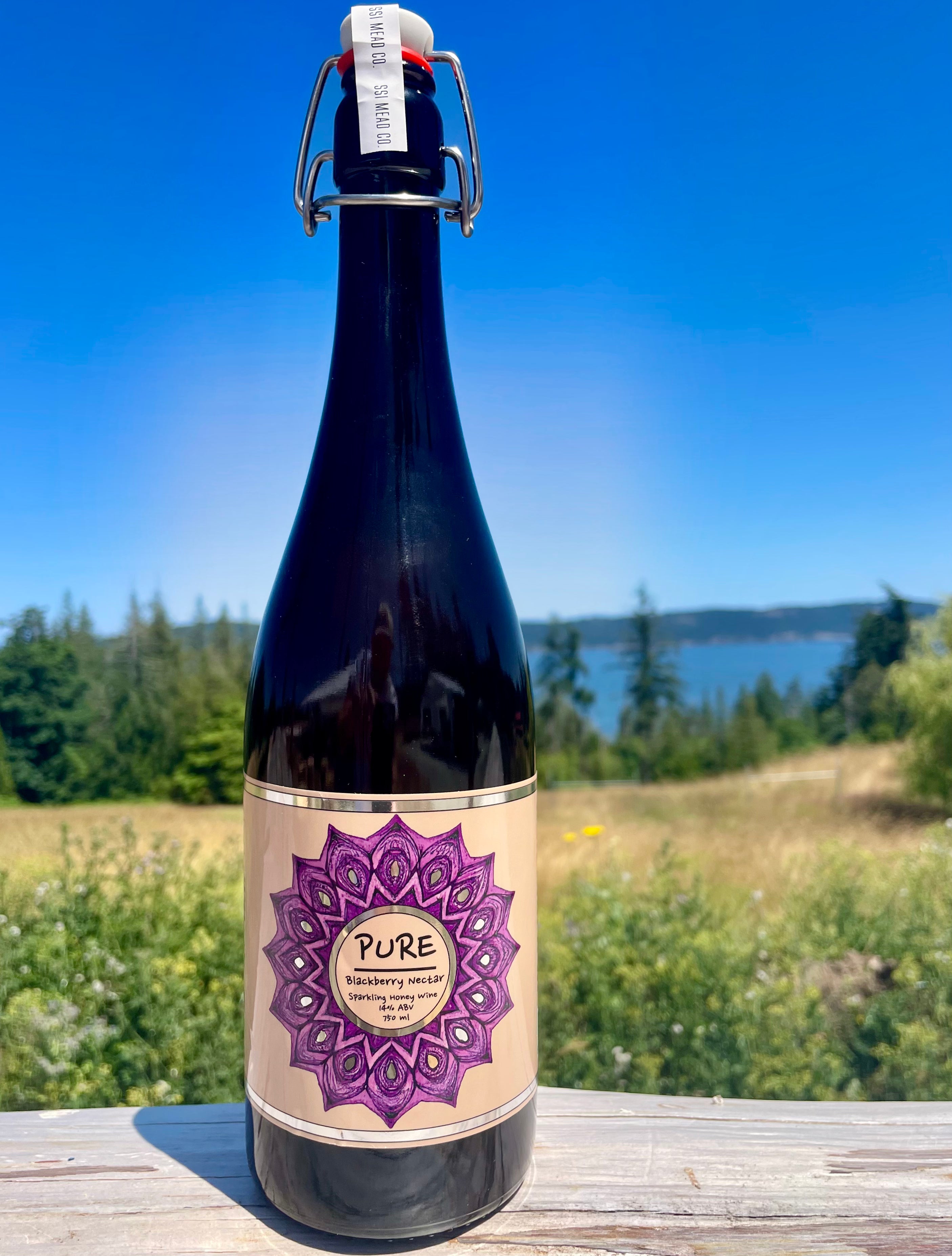 SSI Mead Pure Nectar Blackberry Sparkling Honey Wine
