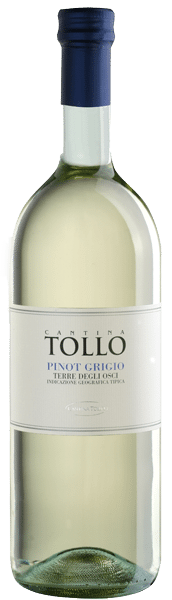 Cantina Tollo Pinot Grigio