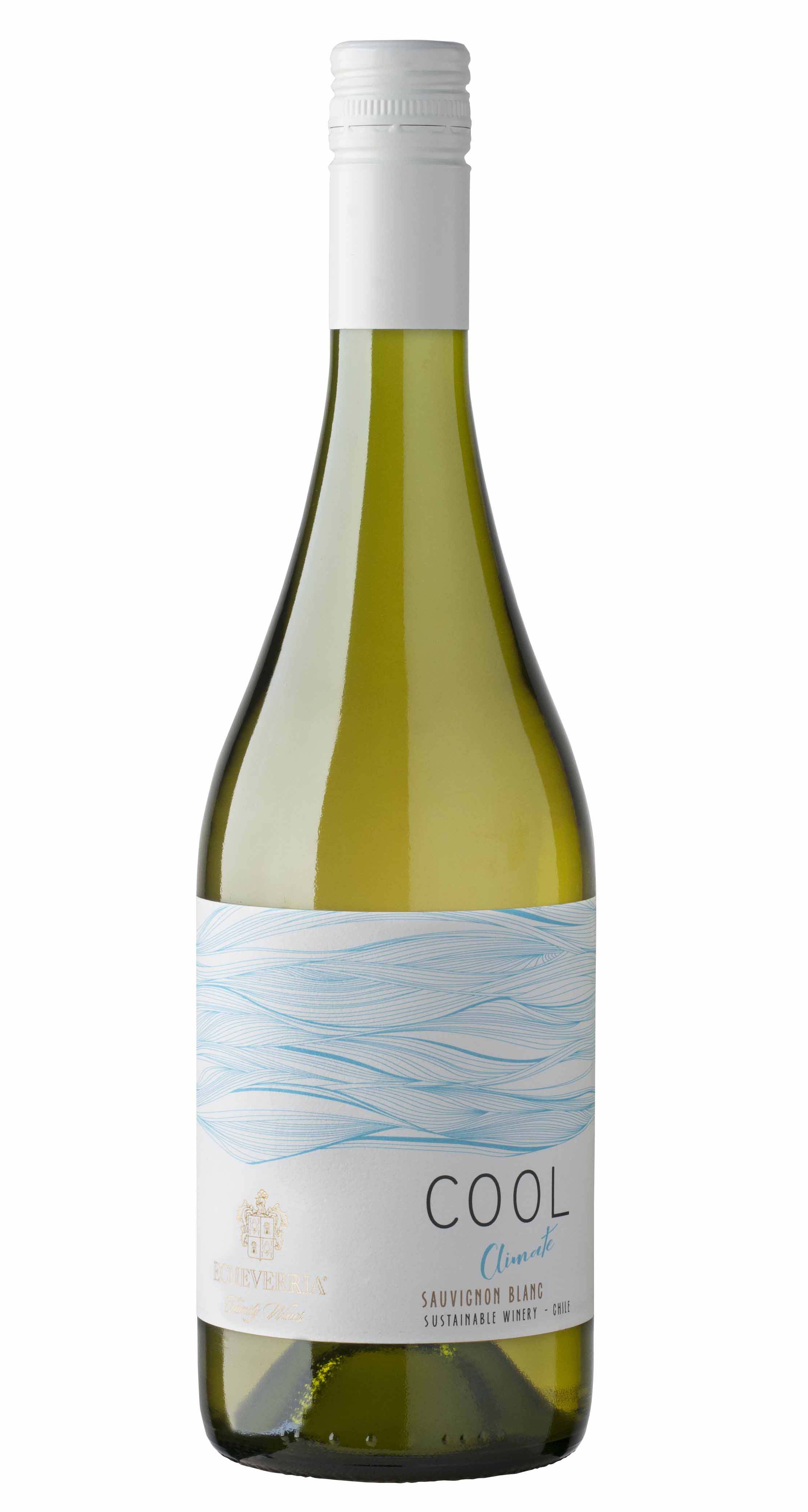 Echeverria "Cool Climate" Sauvignon Blanc 