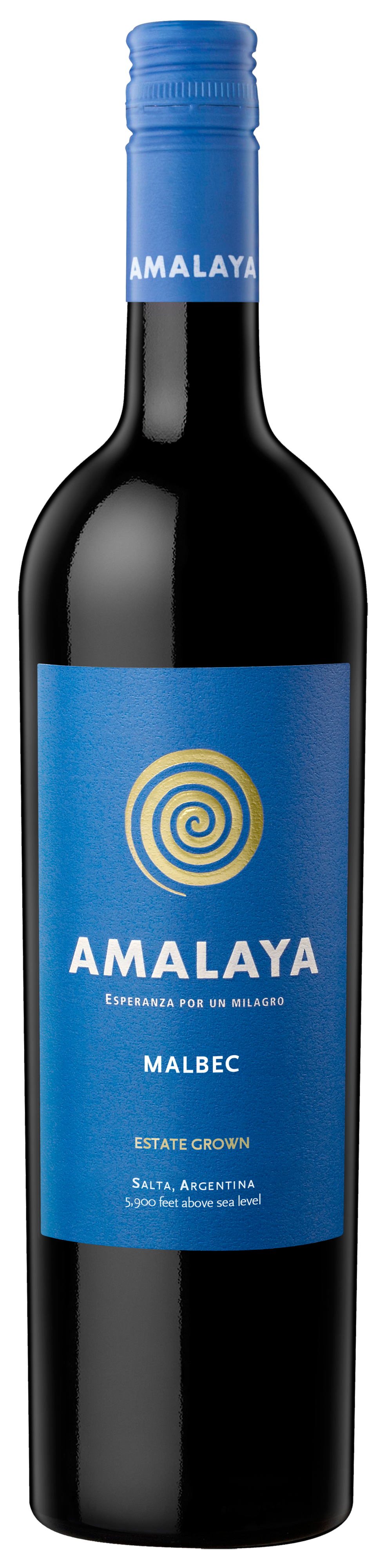 Malbec Amalaya Salta Valle Calchaqui