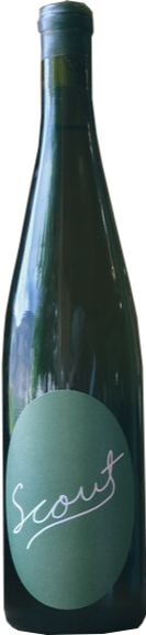 Scout Riesling