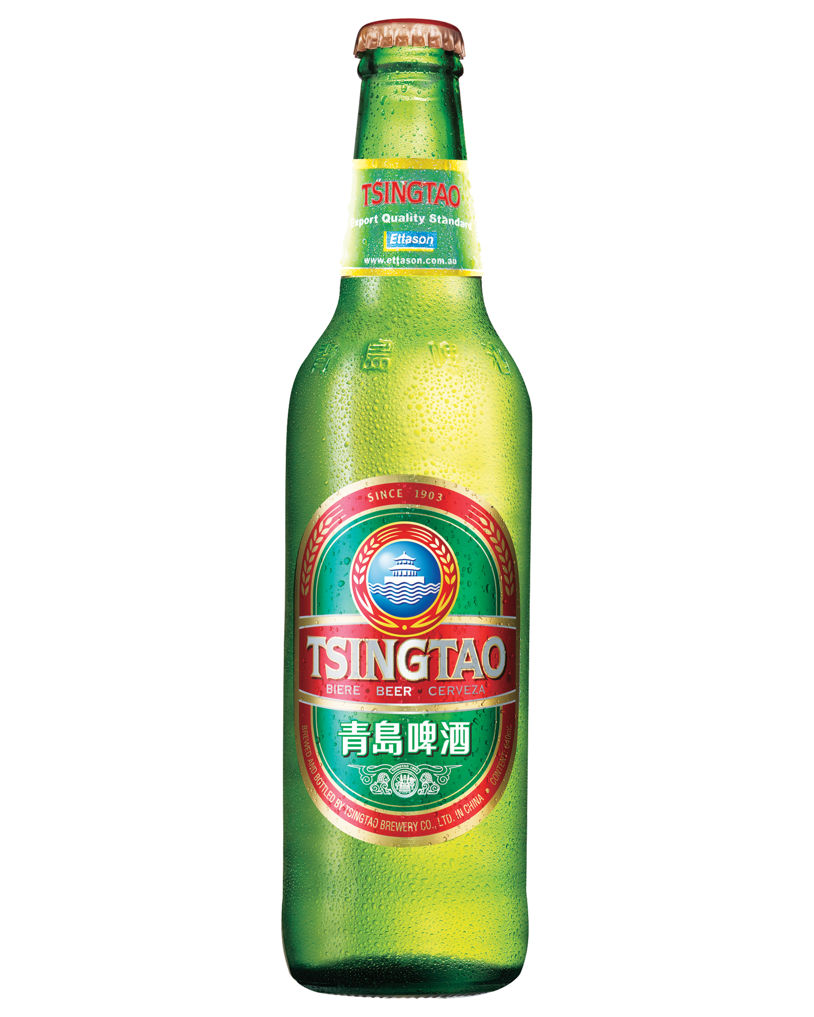 Tsingtao 